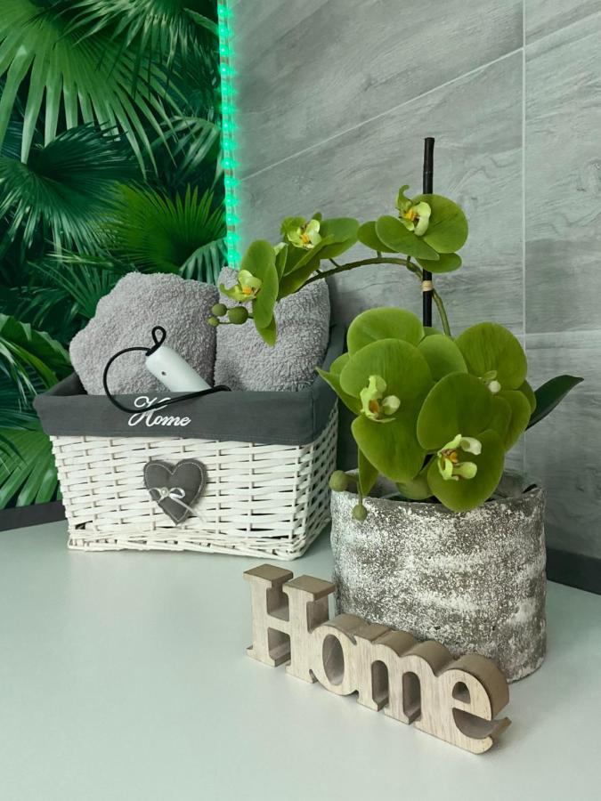 Ferienwohnung Erfurter Rose Екстер'єр фото
